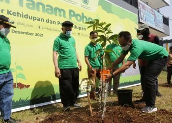 Gerakan Tanam Pohon LDII Sebagai Sumber Kehidupan dan Penghidupan