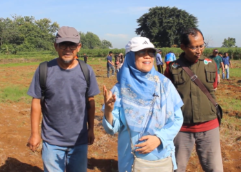 LDII Kota Bogor Tanam Jagung di Rancabungur Dukung Ketahanan Pangan