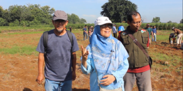 LDII Kota Bogor Tanam Jagung di Rancabungur Dukung Ketahanan Pangan